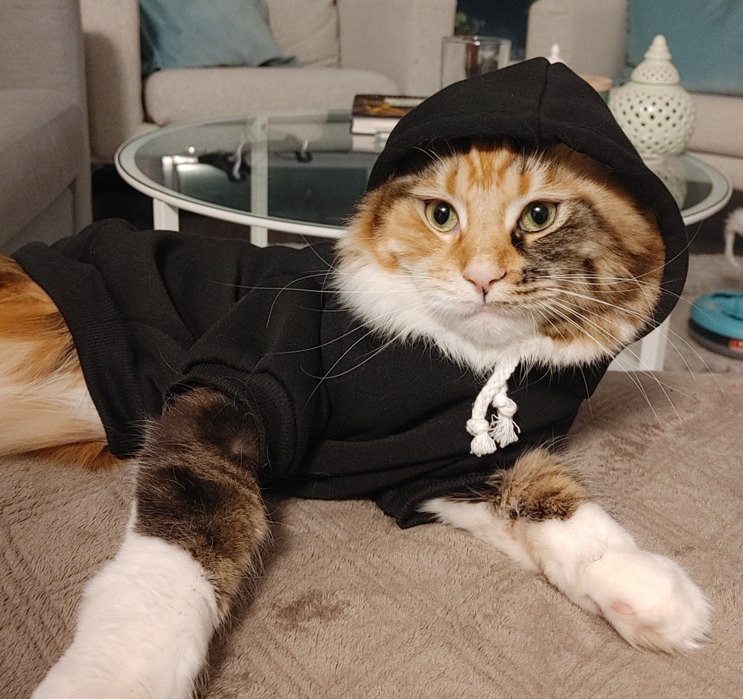 Lil' FKR Hoodie (Cat and Dog)