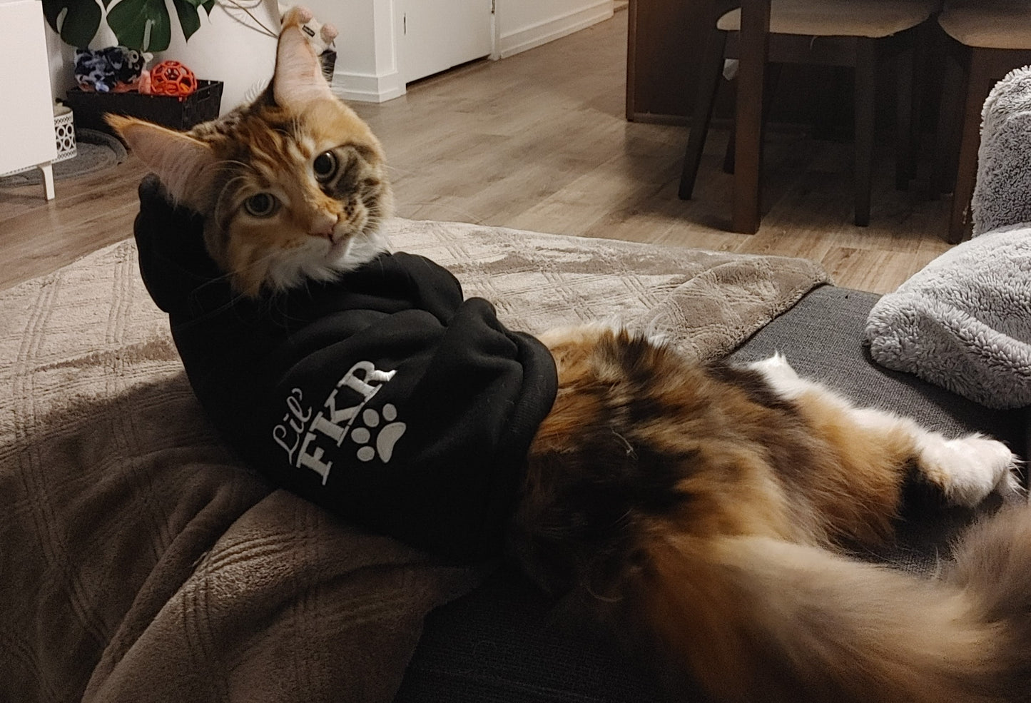 Lil' FKR Hoodie (Cat and Dog)