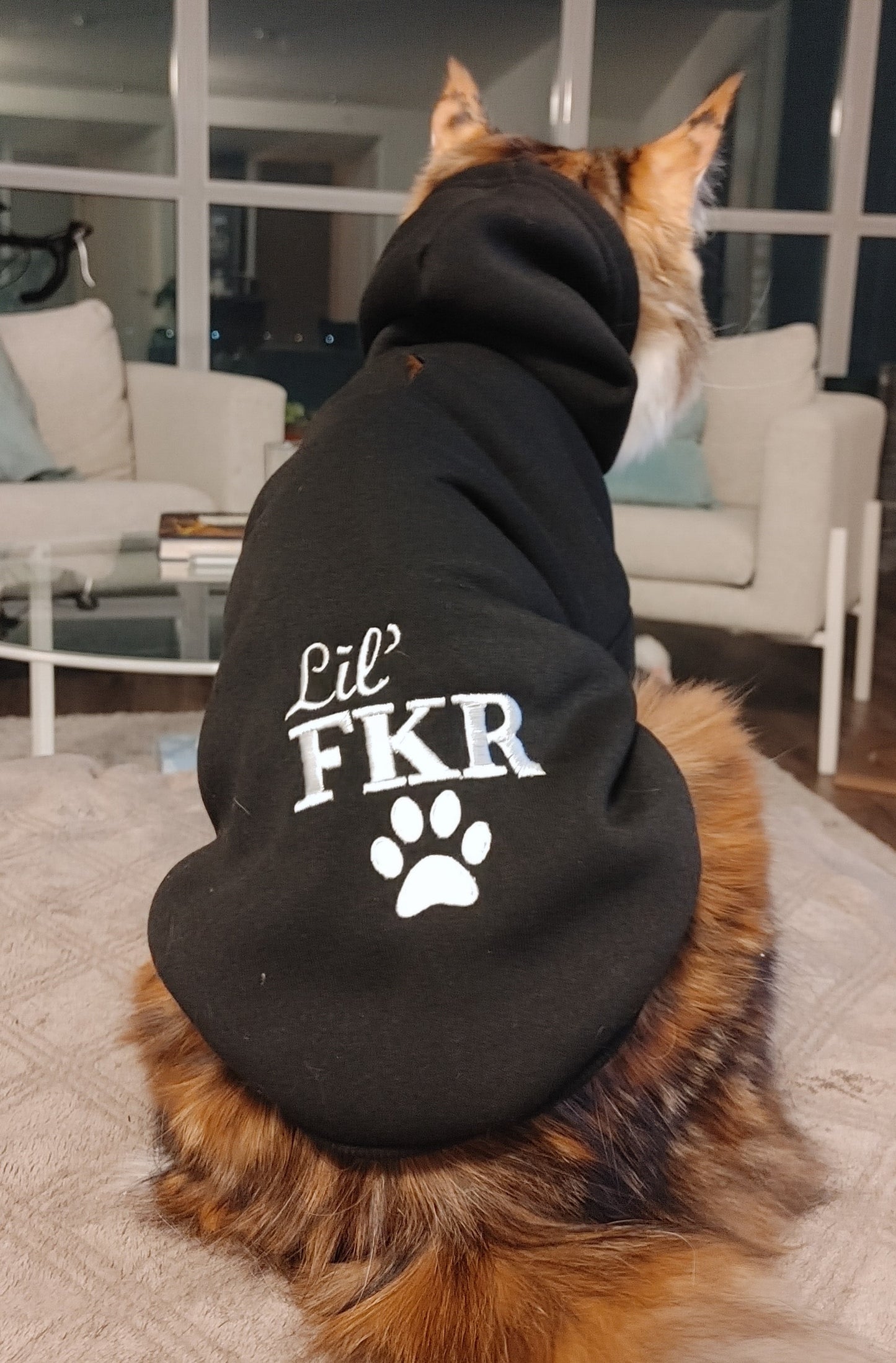 Lil' FKR Hoodie (Cat and Dog)